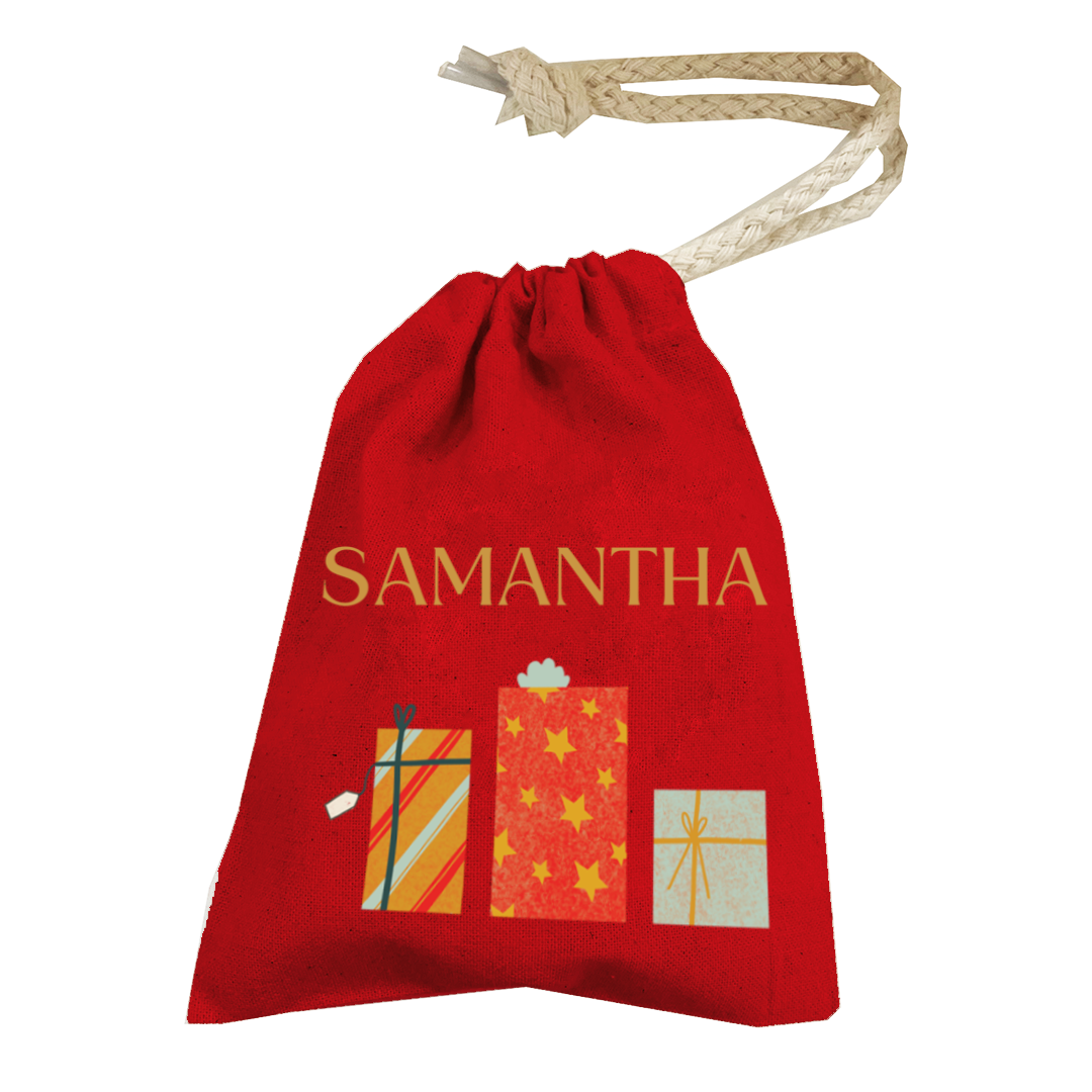 Money Pouch - Present Design