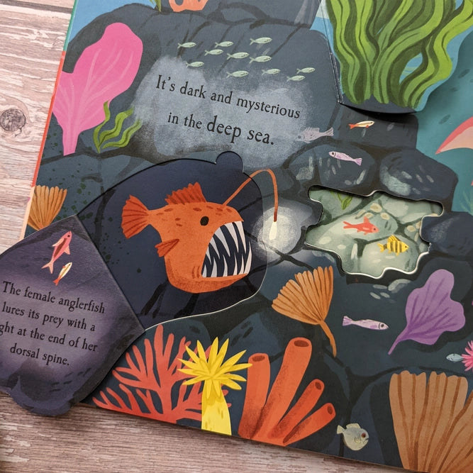 The Ocean- Nature Die Cut Book
