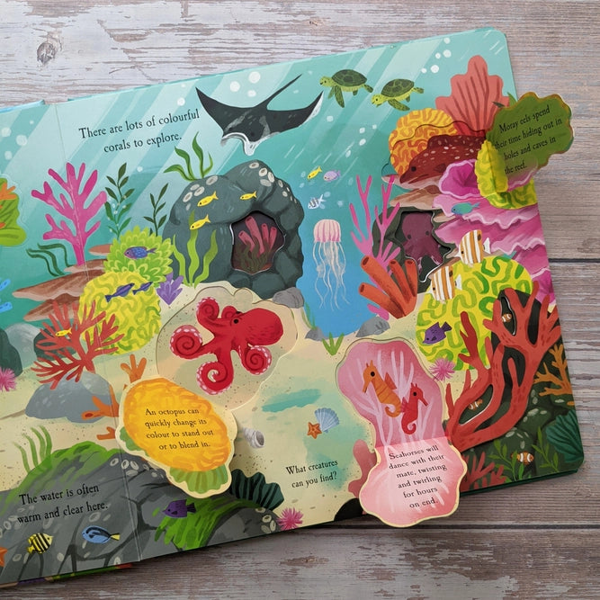 The Ocean- Nature Die Cut Book