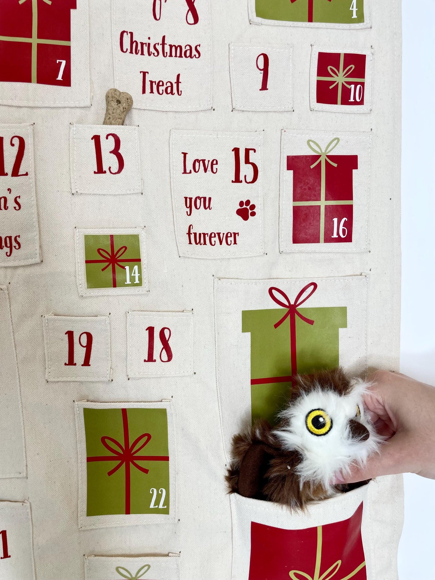 Christmas advent calendar for dogs with custom name and festive design