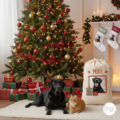 Personalised Pets Christmas Treats Gift Sack